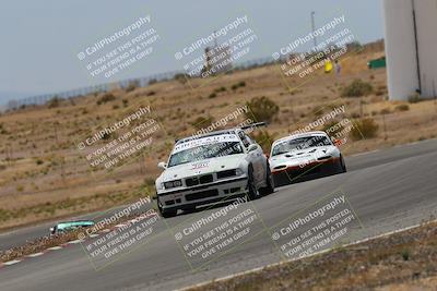 media/May-03-2025-Lucky Dog Racing (Sat) [[206de64b9d]]/Turn 6 (150pm-230pm)/